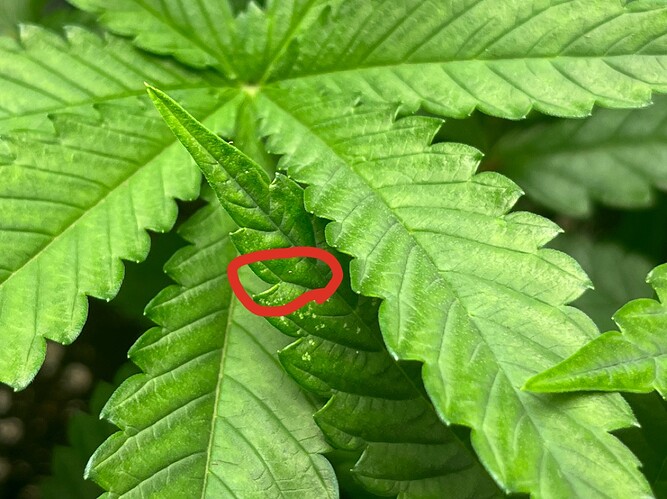 Growreport Bild 7