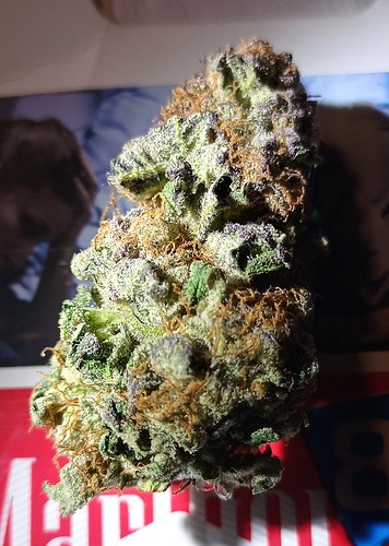 Growreport Bild 23