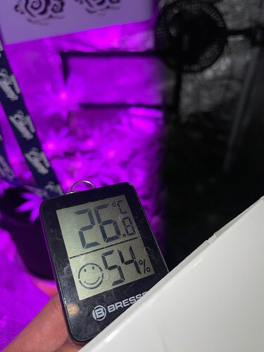 Growreport Bild 8