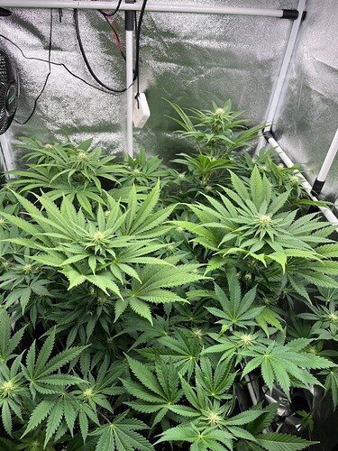 Growreport Bild 7