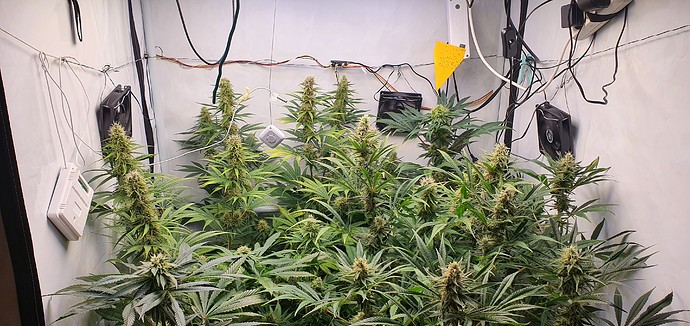 Growreport Bild 13