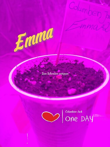 IMG_20240112_161528_edit_112250202217960