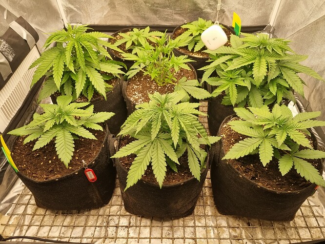 Growreport Bild 21