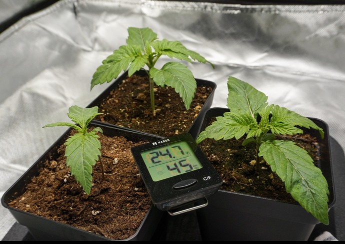 Growreport Bild 7