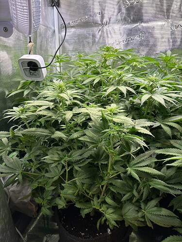 Growreport Bild 10