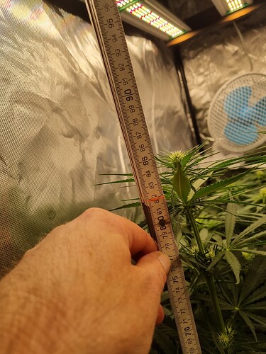 Growreport Bild 10