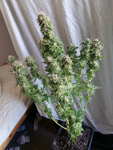 Growreport Bild 18