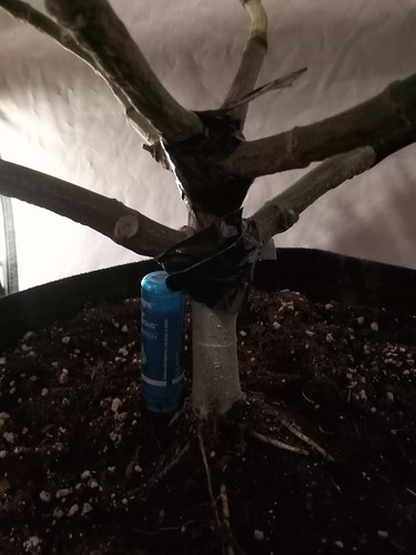 Growreport Bild 26