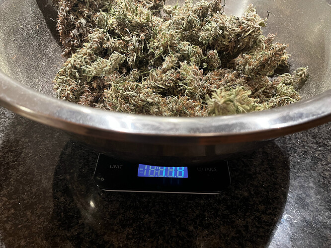 Growreport Bild 12