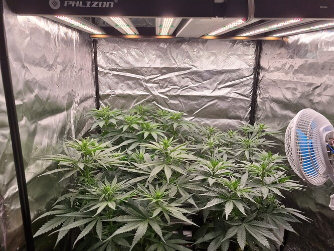 Growreport Bild 4