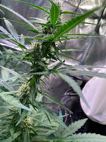 Growreport Bild 12