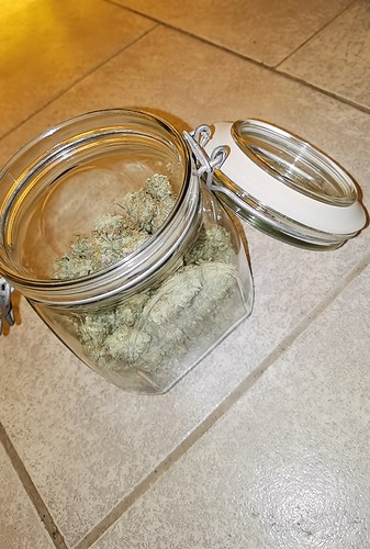 Growreport Bild 10