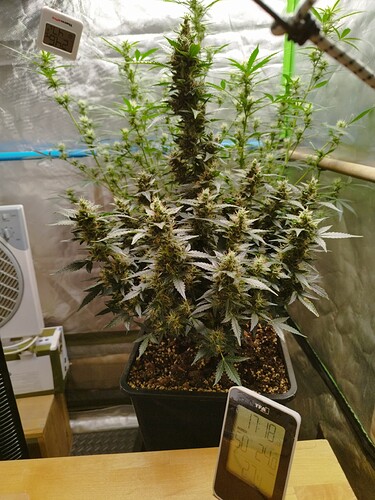 Growreport Bild 8