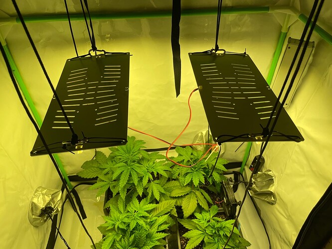 Growreport Bild 4