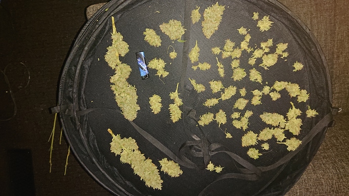 Growreport Bild 3