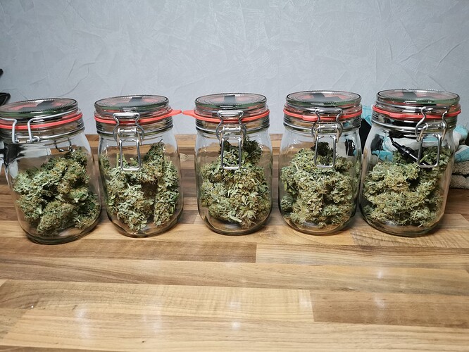 Growreport Bild 15