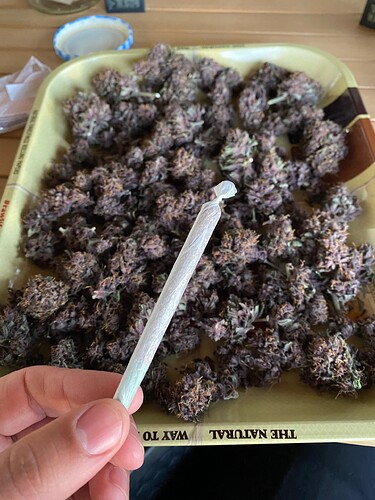 Growreport Bild 1