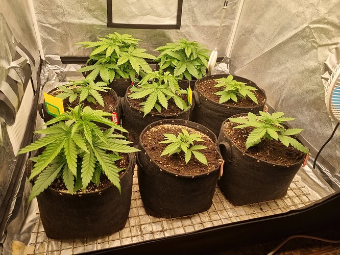Growreport Bild 9