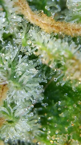 Growreport Bild 21