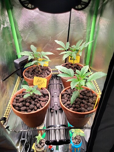 Growreport Bild 8
