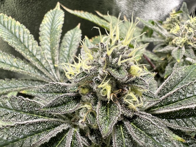 Growreport Bild 17