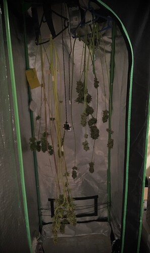 Growreport Bild 7