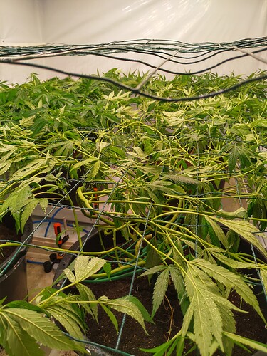 Growreport Bild 11