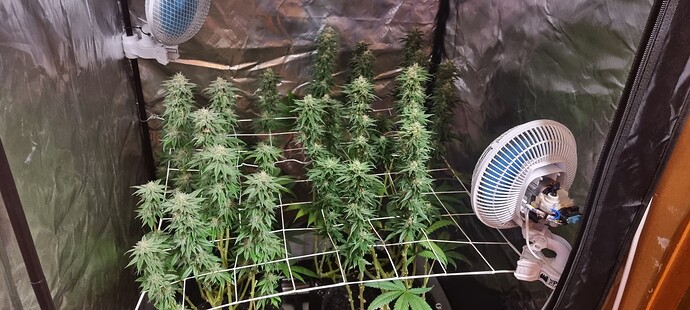 Growreport Bild 14