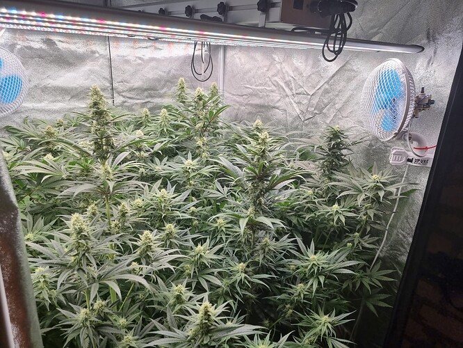 Growreport Bild 11