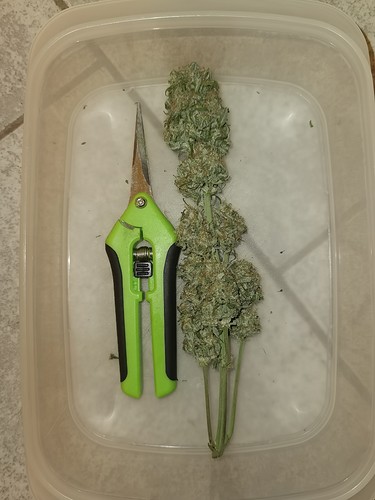 Growreport Bild 9