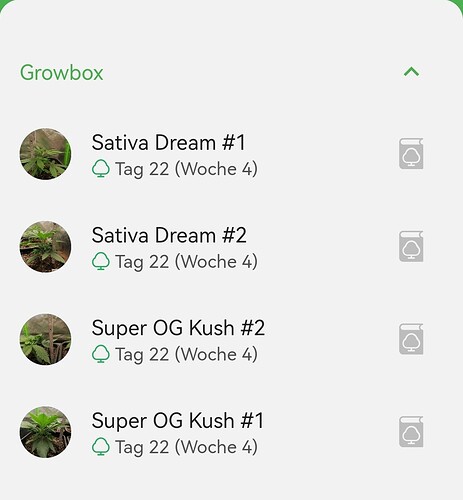 Growreport Bild 1