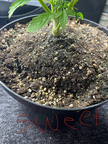 Growreport Bild 22
