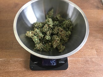 Growreport Bild 10