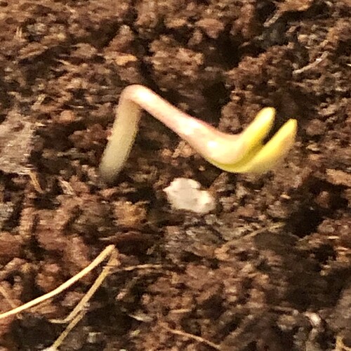 Growreport Bild 9