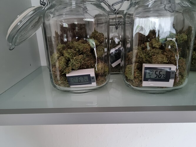 Growreport Bild 12