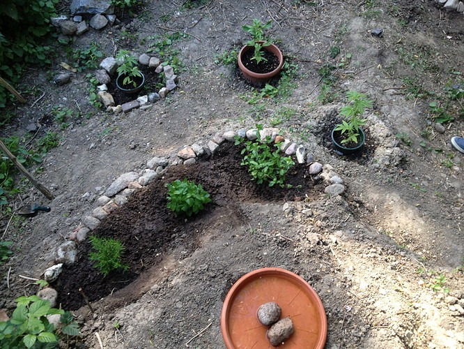 Growreport Bild 10