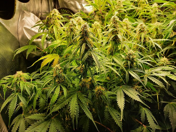 Growreport Bild 11