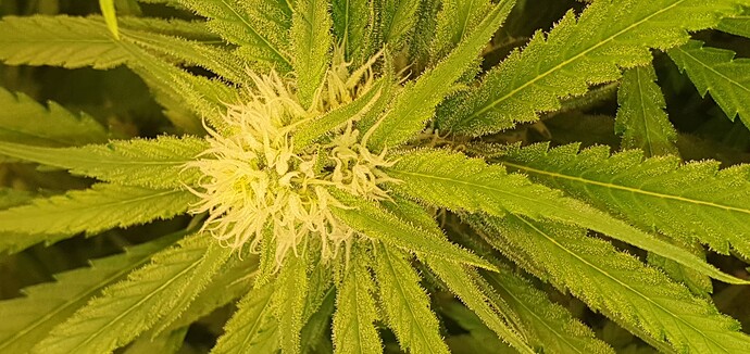 Growreport Bild 9