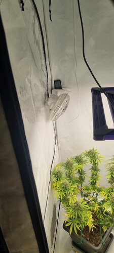 Growreport Bild 18