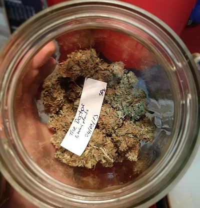 Growreport Bild 12