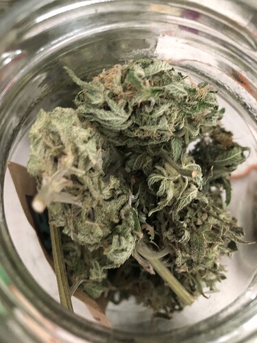 Growreport Bild 1