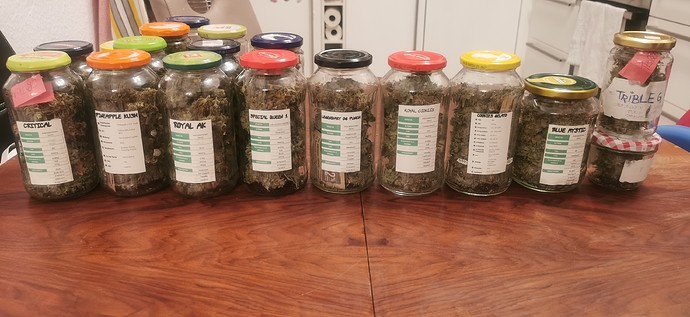 Ultra Grow - 10 Sorten/ 9 auf 80x80 und 1 auf 60x60