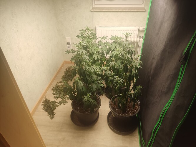 Growreport Bild 7