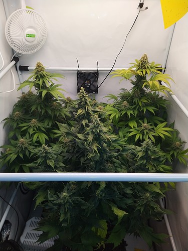 Growreport Bild 17
