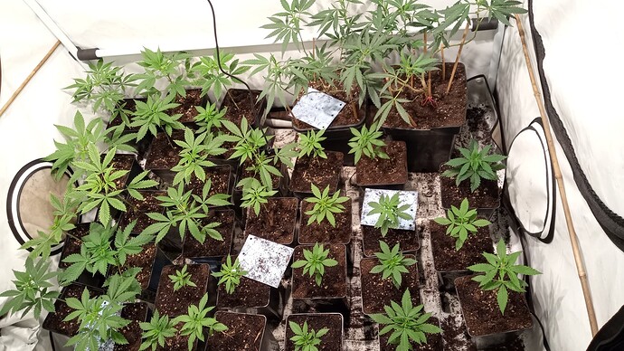 Growreport Bild 23