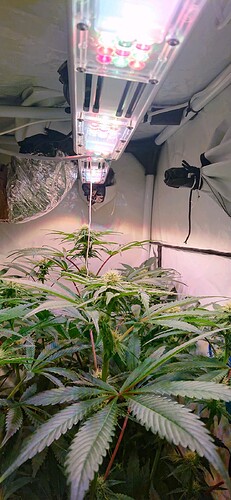 Growreport Bild 8