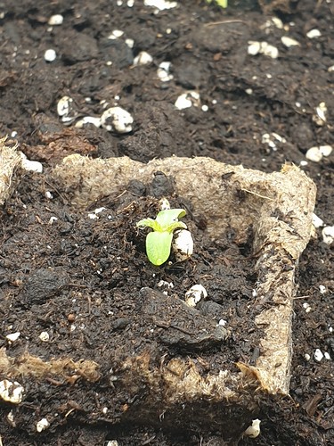 Growreport Bild 10
