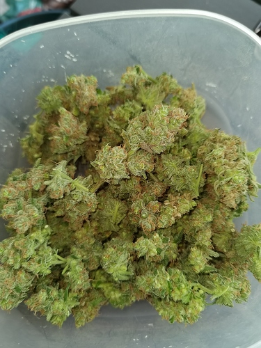 Growreport Bild 14