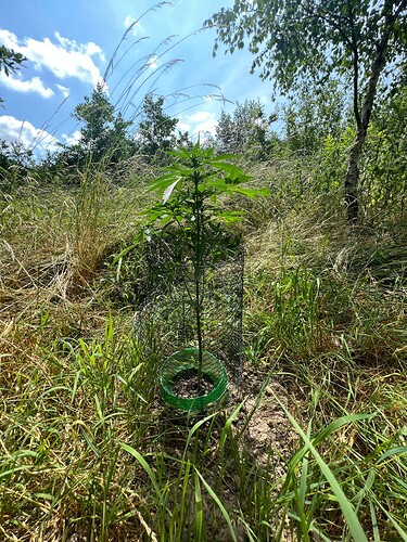 Growreport Bild 7