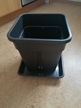 Growreport Bild 33